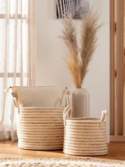 Basket Willow