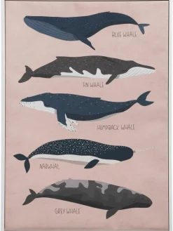 Big Whales