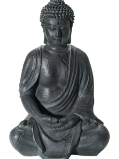 Buddha Easy