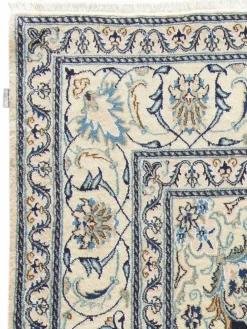 Kaschmar Nain 12 Lah