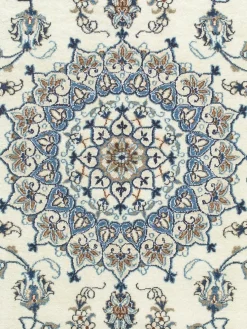 Kaschmar Nain 12 Lah