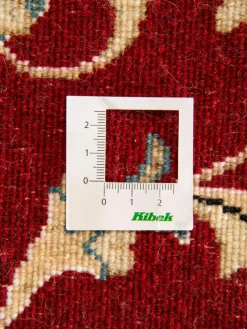 Kaschmar Nain 12 Lah