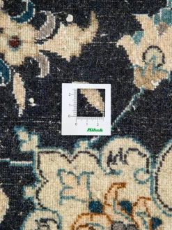 Kaschmar Nain 12 Lah