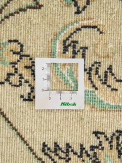 Kaschmar Nain 12 Lah