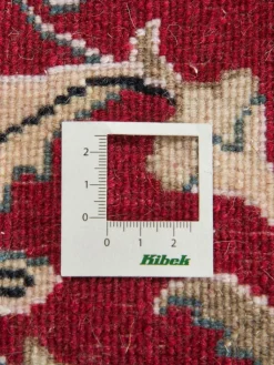 Kaschmar Nain 12 Lah