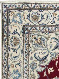 Kaschmar Nain 12 Lah