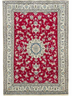 Kaschmar Nain 12 Lah