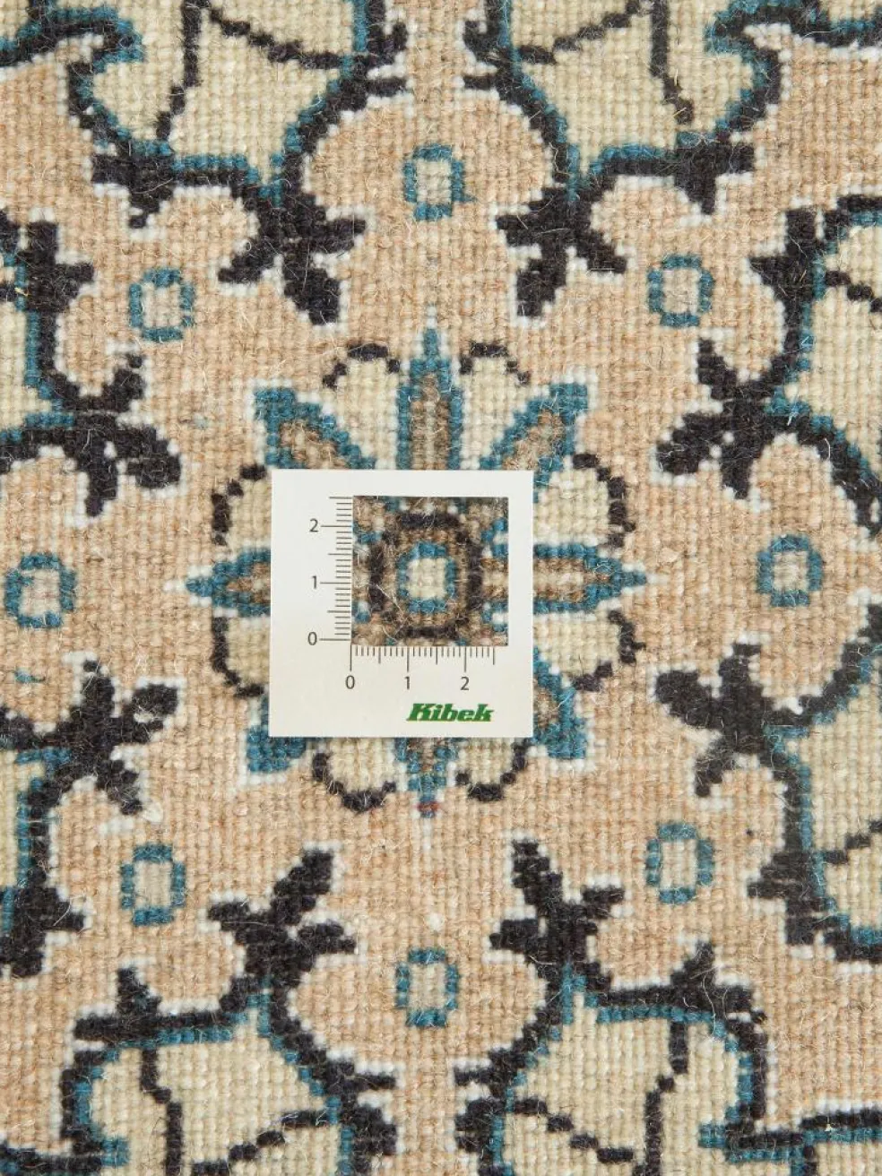 Kaschmar Nain 12 Lah