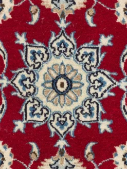 Kaschmar Nain 12 Lah