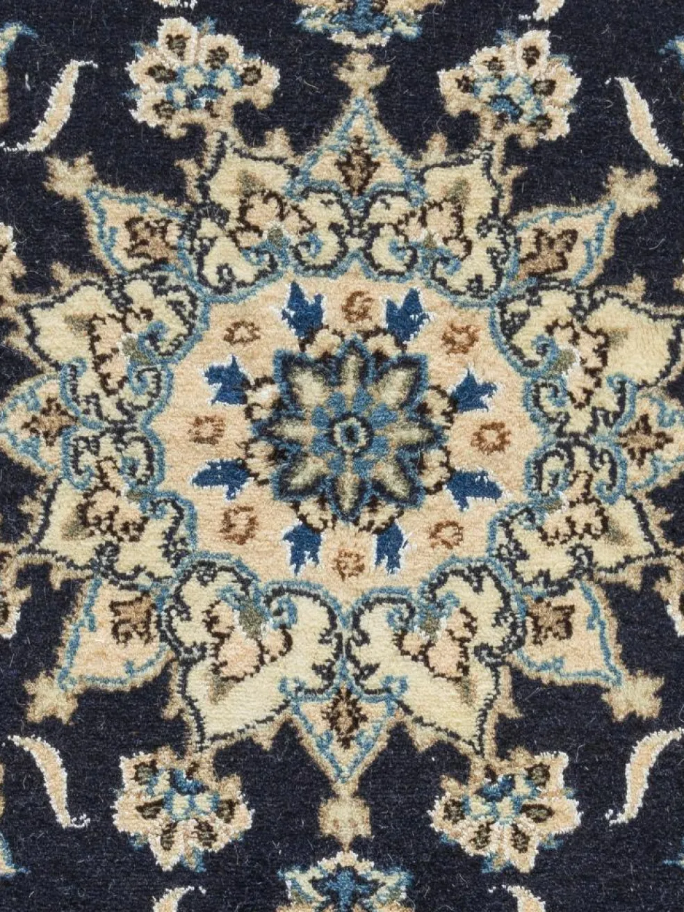 Kaschmar Nain 12 Lah