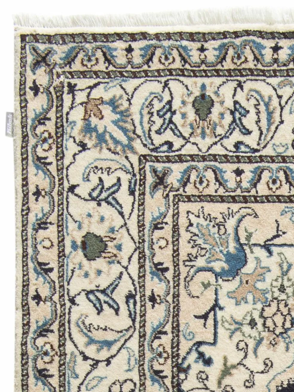 Kaschmar Nain 12 Lah