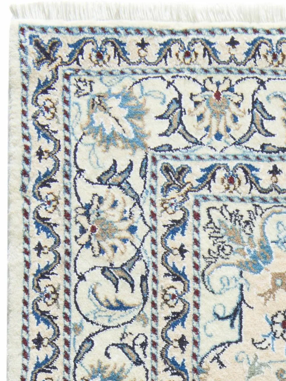 Kaschmar Nain 12 Lah