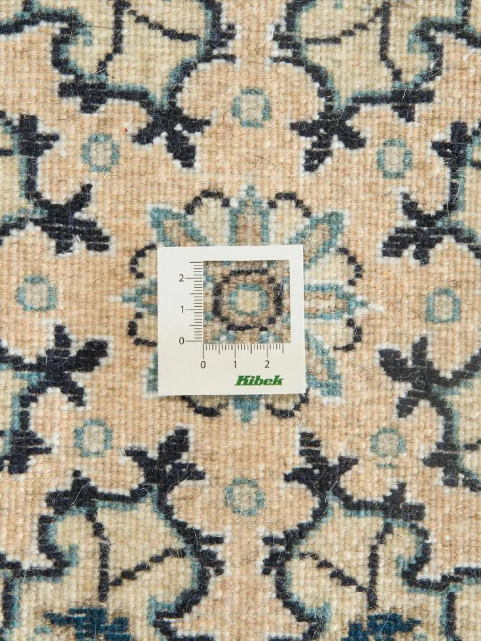 Kaschmar Nain 12 Lah