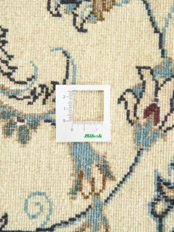 Kaschmar Nain 12 Lah