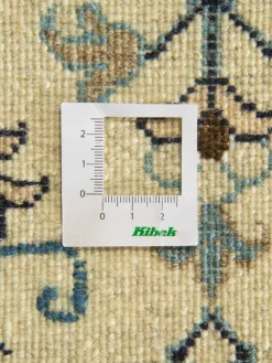 Kaschmar Nain 12 Lah