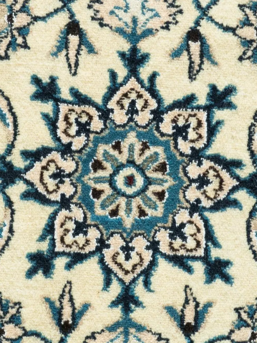 Kaschmar Nain 12 Lah