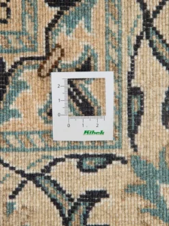 Kaschmar Nain 12 Lah