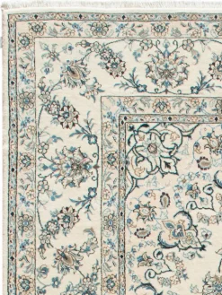 Kaschmar Nain 12 Lah