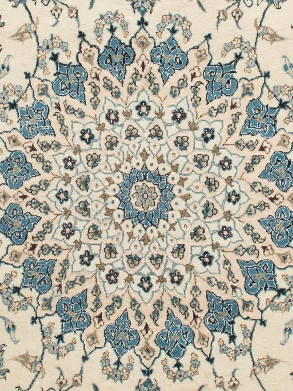 Kaschmar Nain 12 Lah