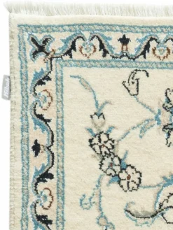 Kaschmar Nain 12 Lah