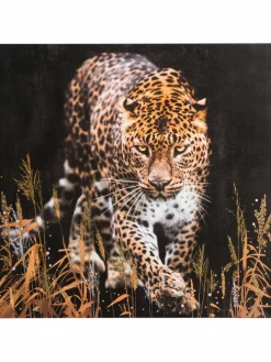 Leopard im Gras