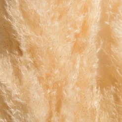 Pampasgrasbündel 3er