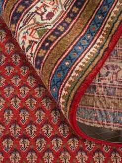 Sarough Mir Semiantik